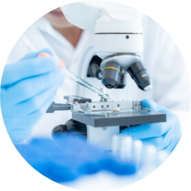 A microscope is used to examine a specimen.