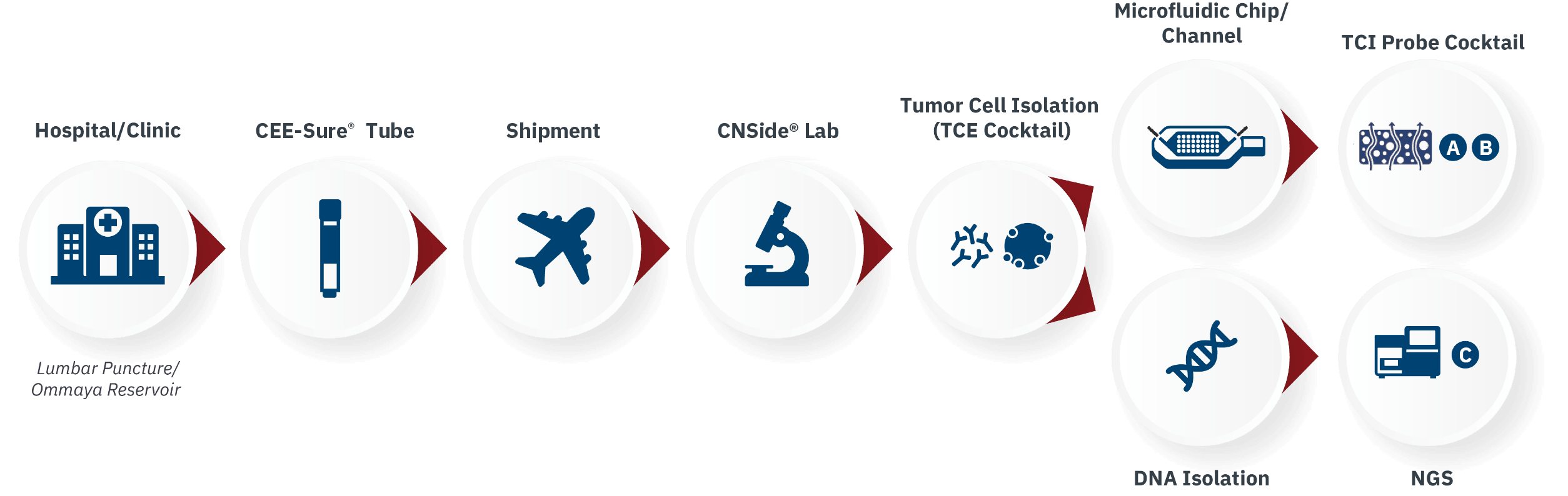 ® (1) Primary commercial workflow dataset model for neurologists and oncologists.
